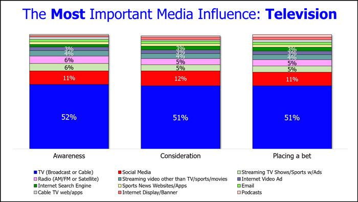 The Most Important Media Influence: Television