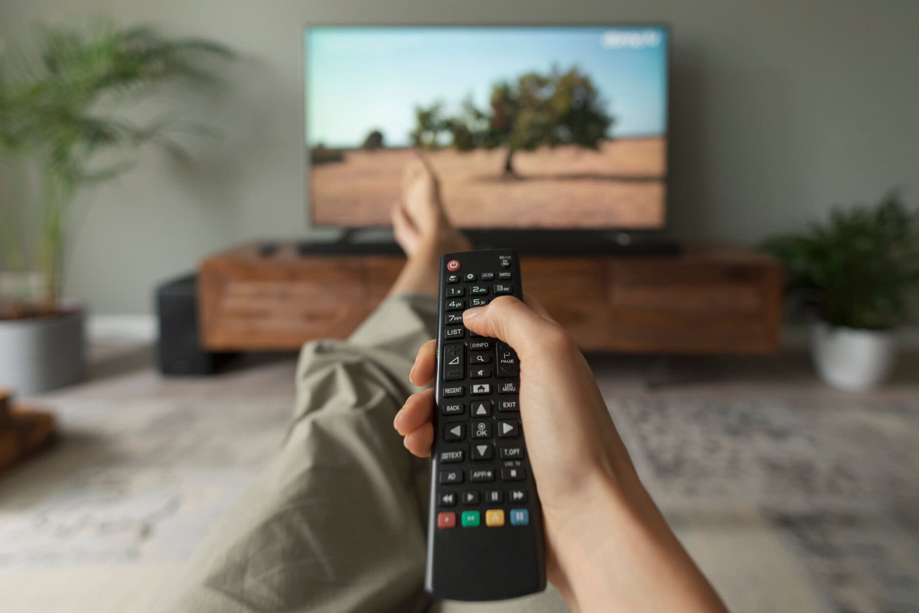 Person holding remove pointed toward TV.
