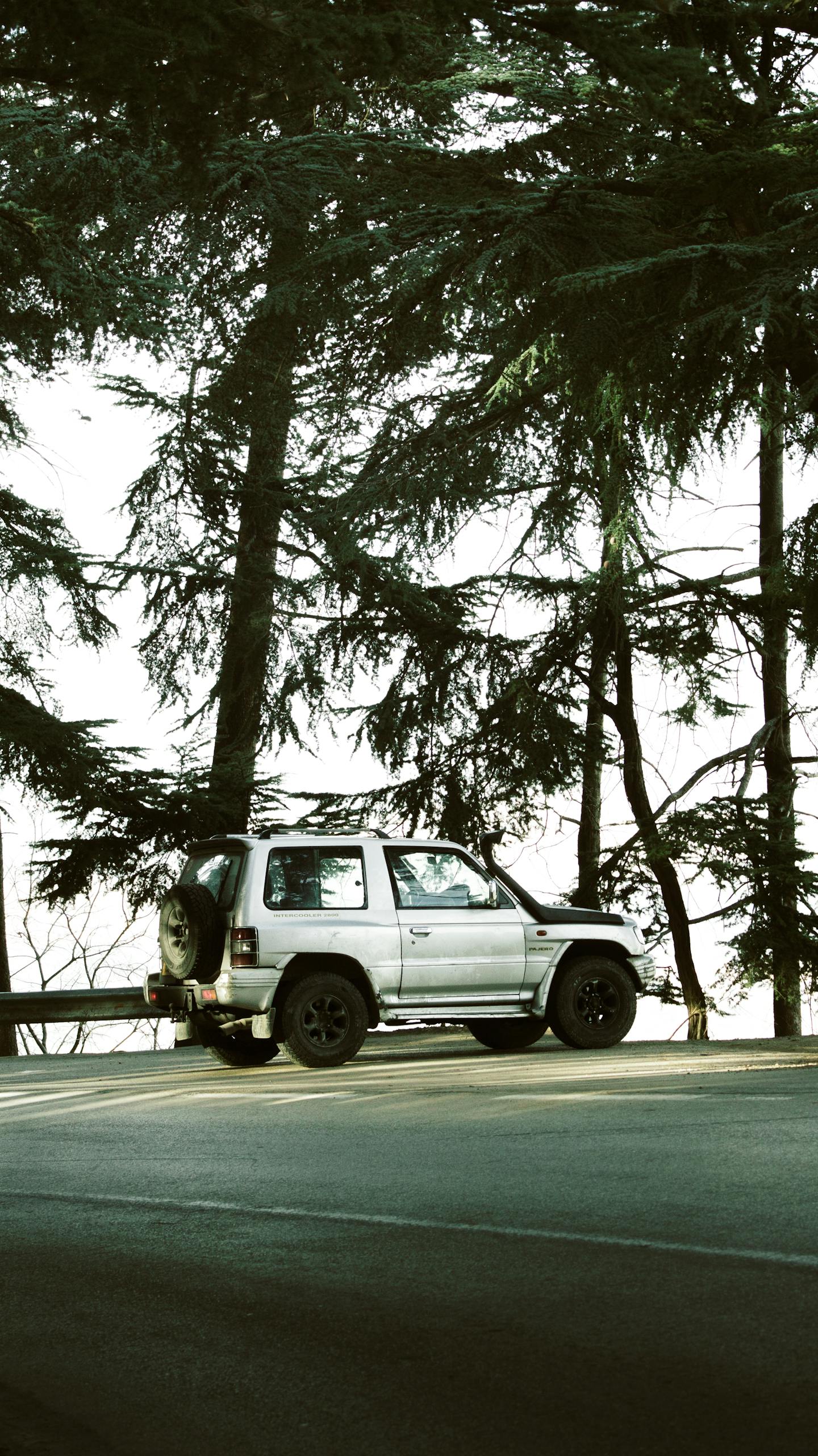 A silver SUV parked on a forest road, ideal for nature and travel themes.