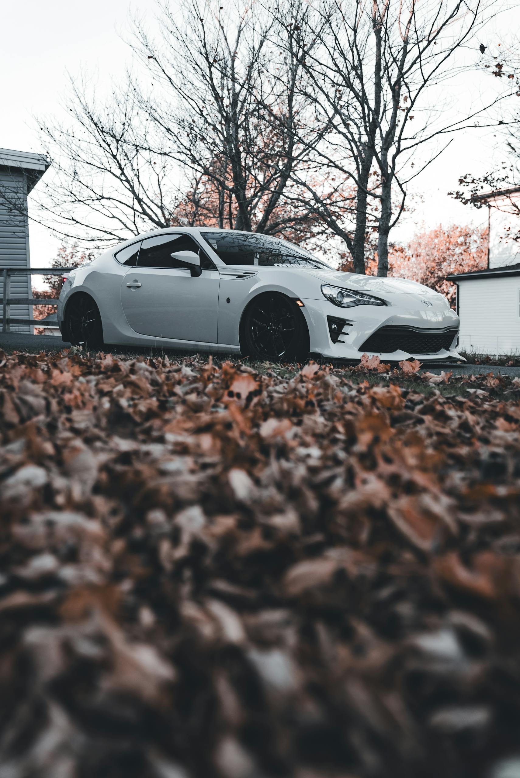 White sports car parked outdoors surrounded by fallen autumn leaves and bare trees.